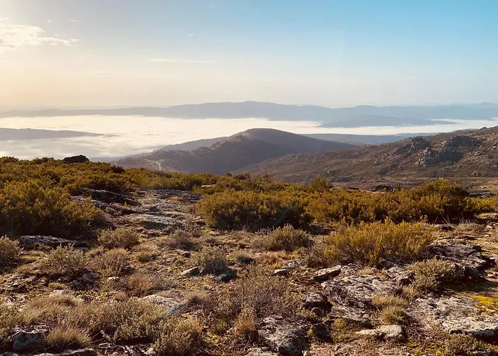 Alpehytte Chale Estrelas