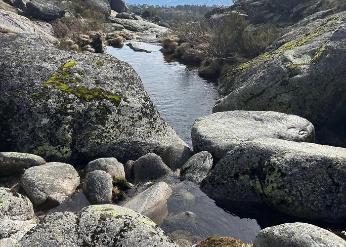 Alpehytte Chale Estrelas
